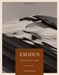 Exodus - Storyteller Bible Study Book