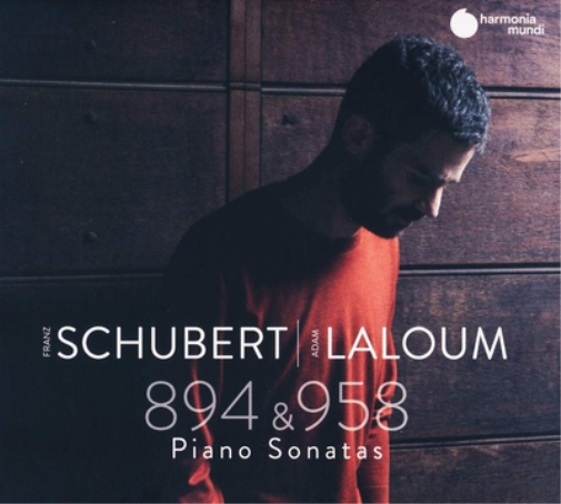 Franz Schubert: Piano Sonatas 894 & 958