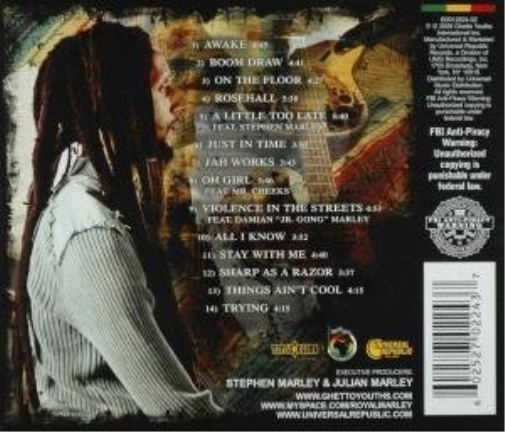 Julian Marley-Awake