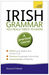 Irish Grammar You Really Need to Know: Teach Yourself
