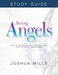 Seeing Angels Study Guide