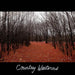 Country Westerns