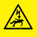 Electric Music
