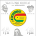 Shark Attack (Feat. Alborosie)