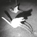 A Mimesis of Nothingness