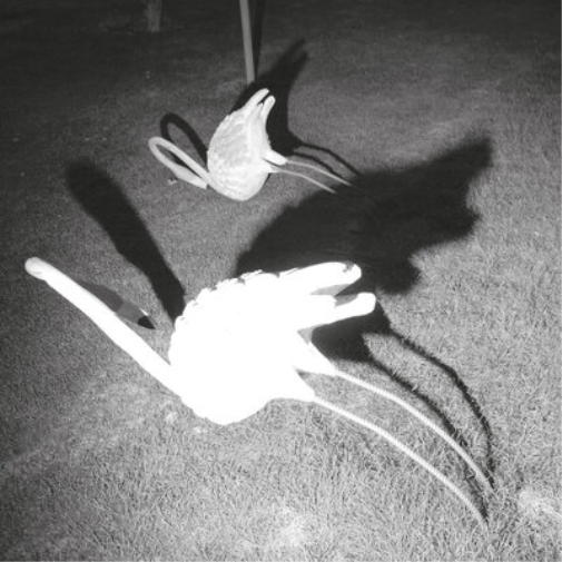 A Mimesis of Nothingness