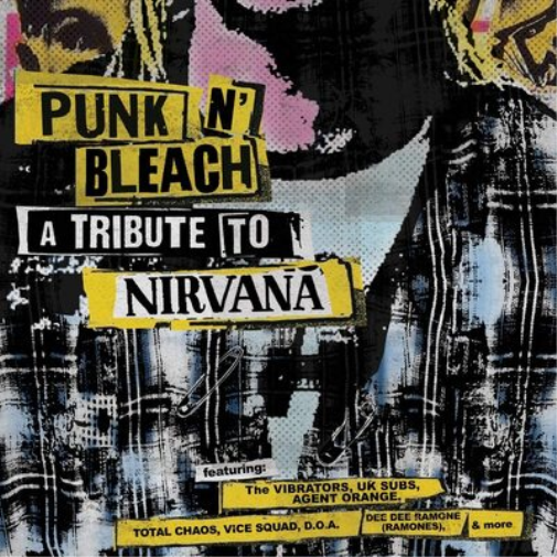 Punk N' Bleach: A Punk Tribute to Nirvana