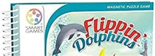Flippin Dolphins