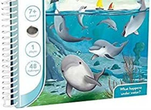 Flippin Dolphins