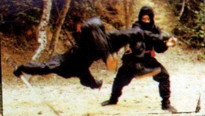 ASIA LINE - DIE VOLLSTRECKER DER NINJA