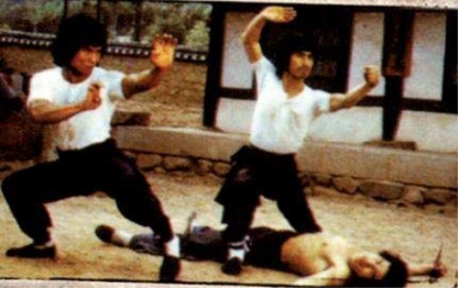 ASIA LINE - DIE VOLLSTRECKER DER NINJA