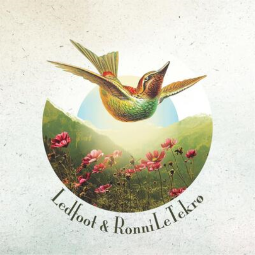 Ledfoot & Ronni Le Tekrø