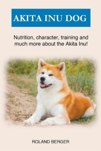 Akita Inu Dog