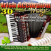 Irish Accordion Magic