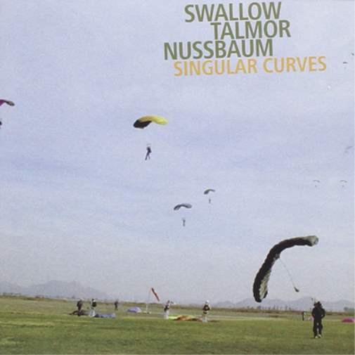 Singular Curves
