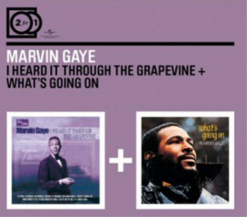 I Heard It Through the Grapevine/What's Going On