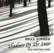Shadows On the Snow