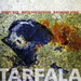 Tarfala