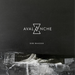 Dirk Maassen: Avalanche