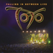 Falling in Between: Live