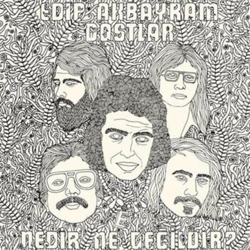 Nedir Ne Degildir?