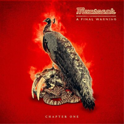 A Final Warning