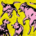 Pink Dogs On the Green Grass