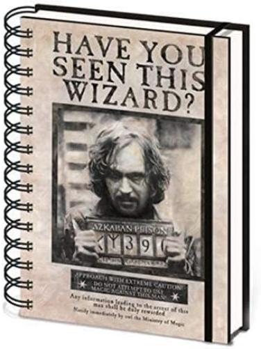 Pyramid Harry Potter: (Sirius & Harry) 3D Cover Notebook (Quaderno Lenticolare 3D