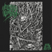 Rise of the Rotten