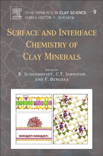 Surface and Interface Chemistry of Clay Minerals