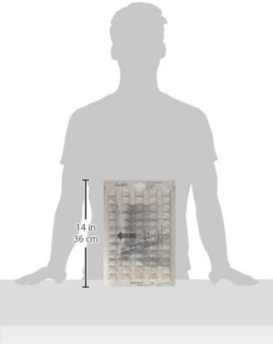 `Drahtkamm.El silber 50St 19,0`