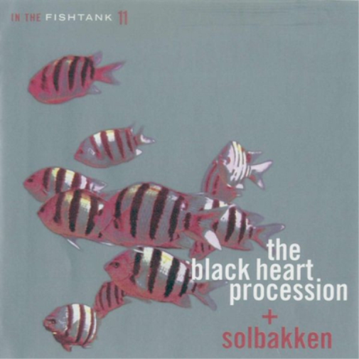 In the Fishtank - Volume 11