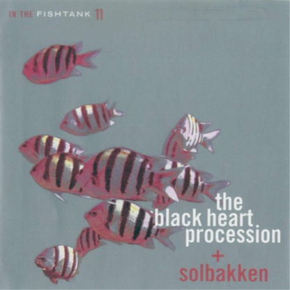 In the Fishtank - Volume 11