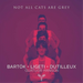 Quatuor Hanson: Not All Cats Are Grey