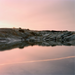 (An Overview On) an Overview On Phenomenal Nature