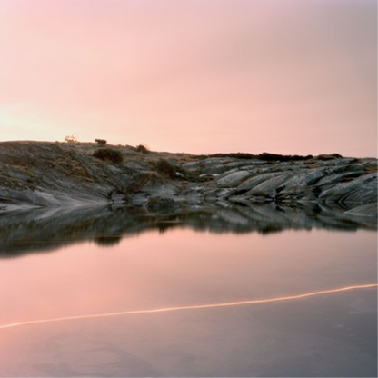 (An Overview On) an Overview On Phenomenal Nature