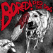 Feed the Dog