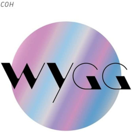WYGG (While Your Guitar Gently)