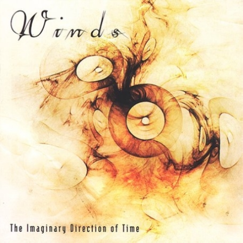 Imaginary Direction of Time