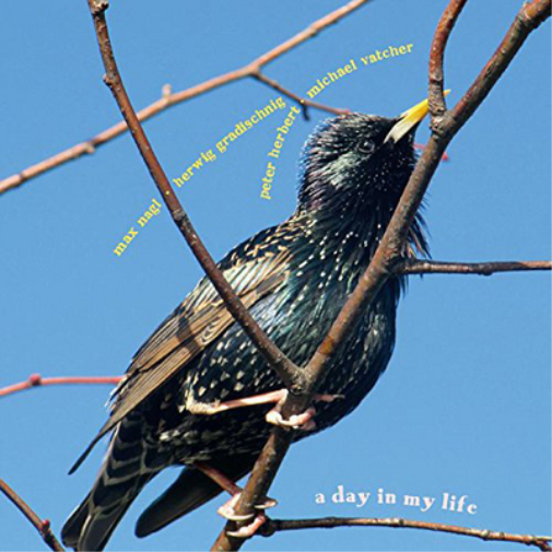 A Day in My Life