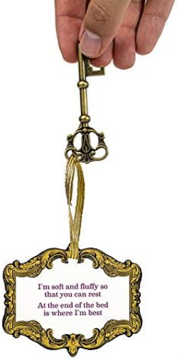 Professor PUZZLE The White Rabbit's Scavenger Hunt Alice in Wonderland themed Treasure Hunt for the whole family.