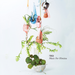 Music for Himitsu