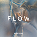Flow (RSD 2020)