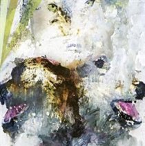 Tail Swallower and Dove