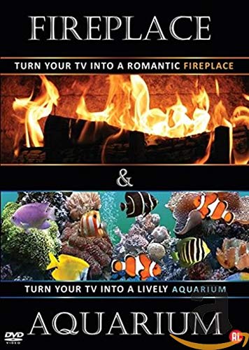 Fireplace & Aquarium
