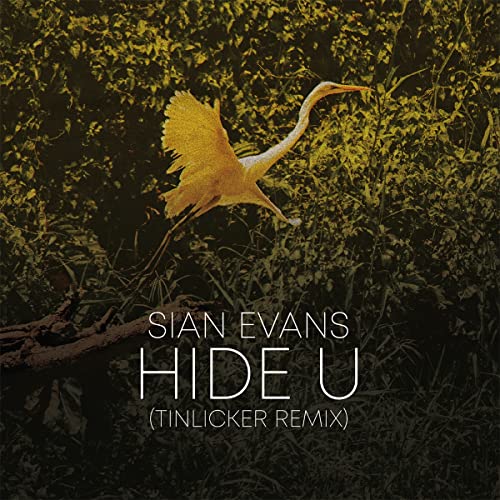 Hide U (Tinlicker Remix)/Because You Move Me