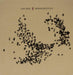 Murmurations