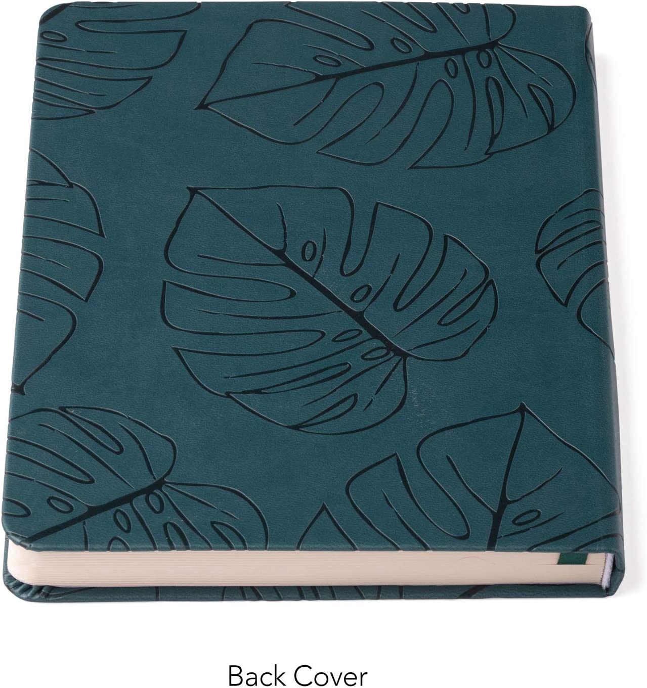 Style A5 Monstera Leaf