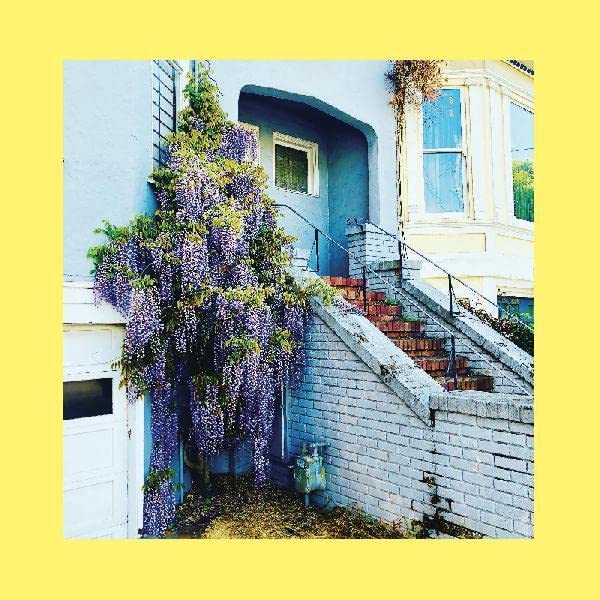 They Only Wanted Your Soul - Royal Blue Colored