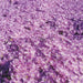 `fin` (CD-RP)